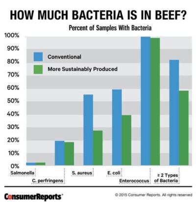 Bacteria in Beef Consumer ReportsSize400
