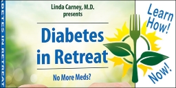 Diabetes in Retreat DVD