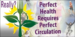 Perfect Health Requires Perfect Circulation DVD