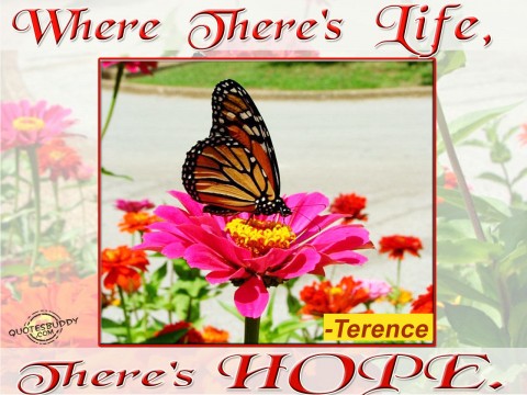 Where there is life, there is hope!
