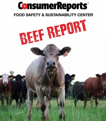100% of Ground Beef Samples Contain Fecal Bacteria
