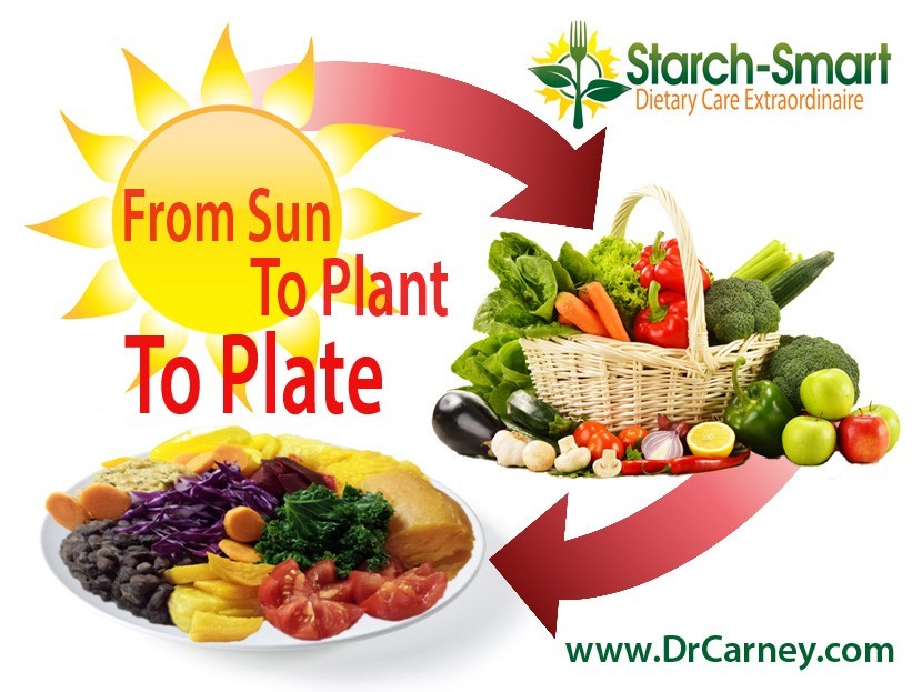 What Does a Plant-Based Dinner Plate Look Like?