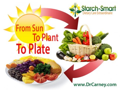 Starch-Smart® System: From Sun To Plant To Plate
