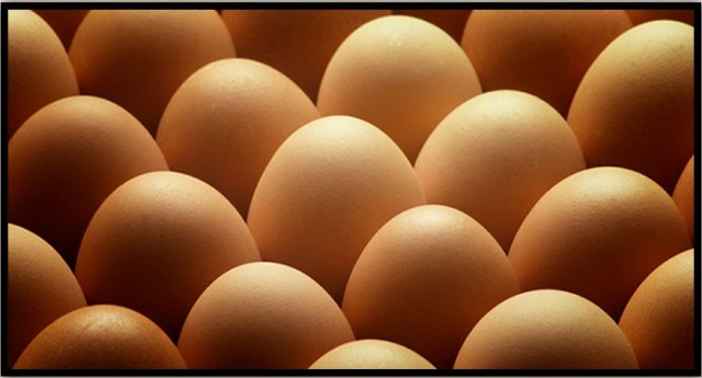 What’s Wrong With Eggs?