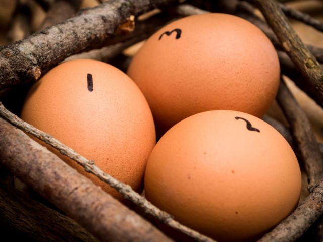 Three Numbered Eggs