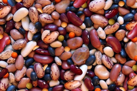 Eating Beans Lowers Cholesterol