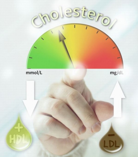 What's the Daily Required Intake for Cholesterol?