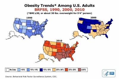 Obesity Trends Animation Placed on Newly Launched DrCarney.com Site