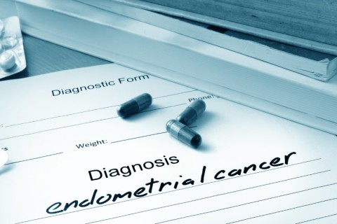 Dietary Fiber May Help to Avoid an Endometrial Cancer Diagnosis