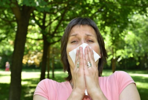 Woman With Allergies Sneezing