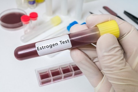 Is There a Blood Test for Too Much Estrogen?