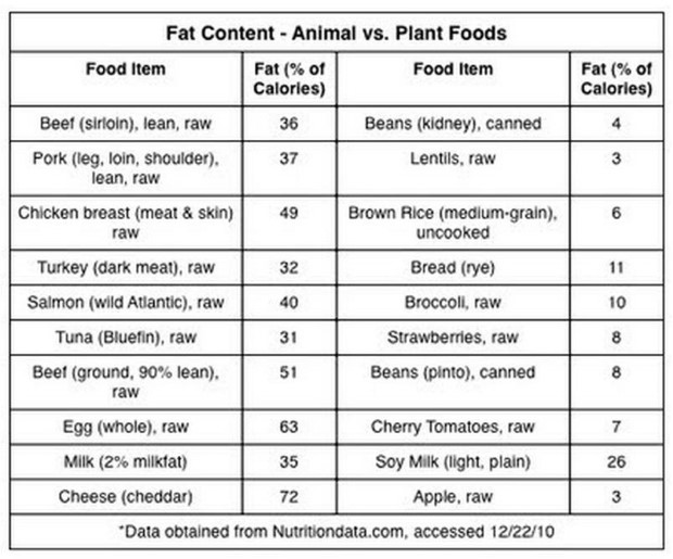 Nitric Oxide Food Chart